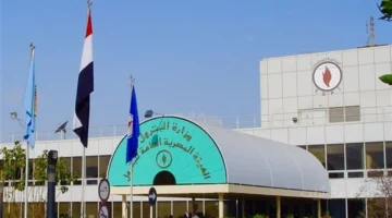 قرار عاجل.. حملات مكثفة من هيئة البترول على محطات الوقود ومخازن البوتاجاز لضبط المتلاعبين 1